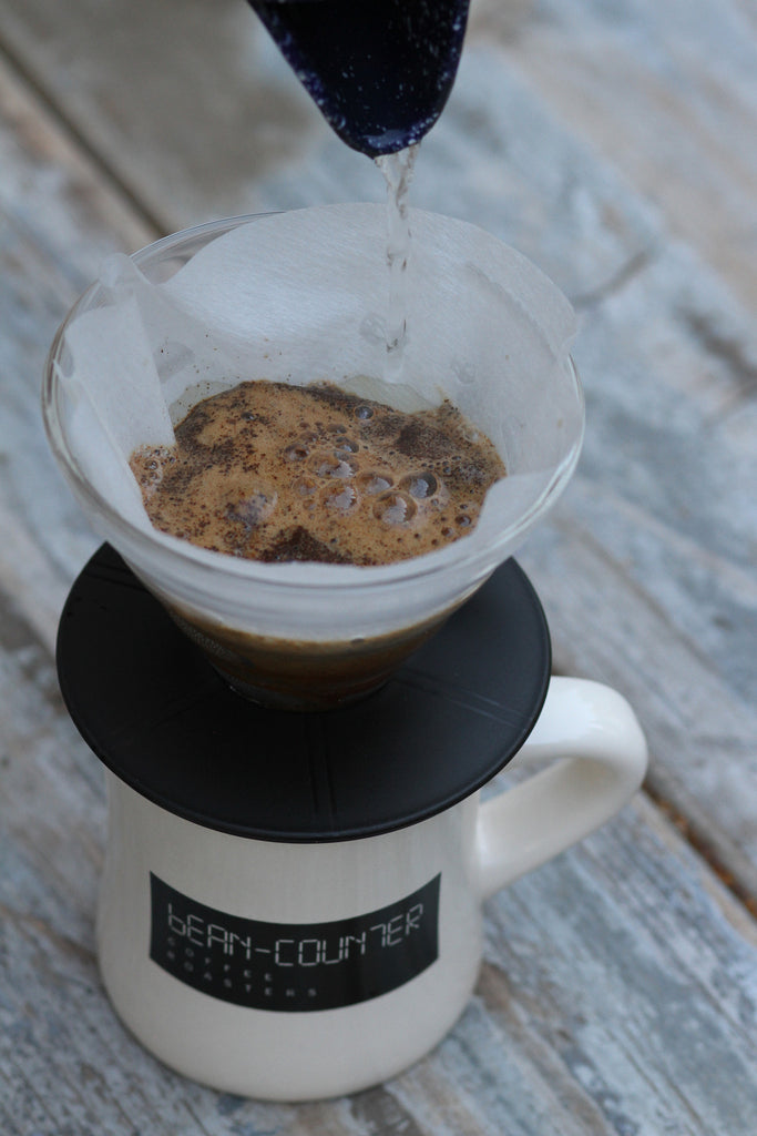 Glass coffee on sale brewer