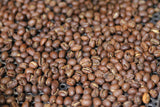 Kenya - Light Roast